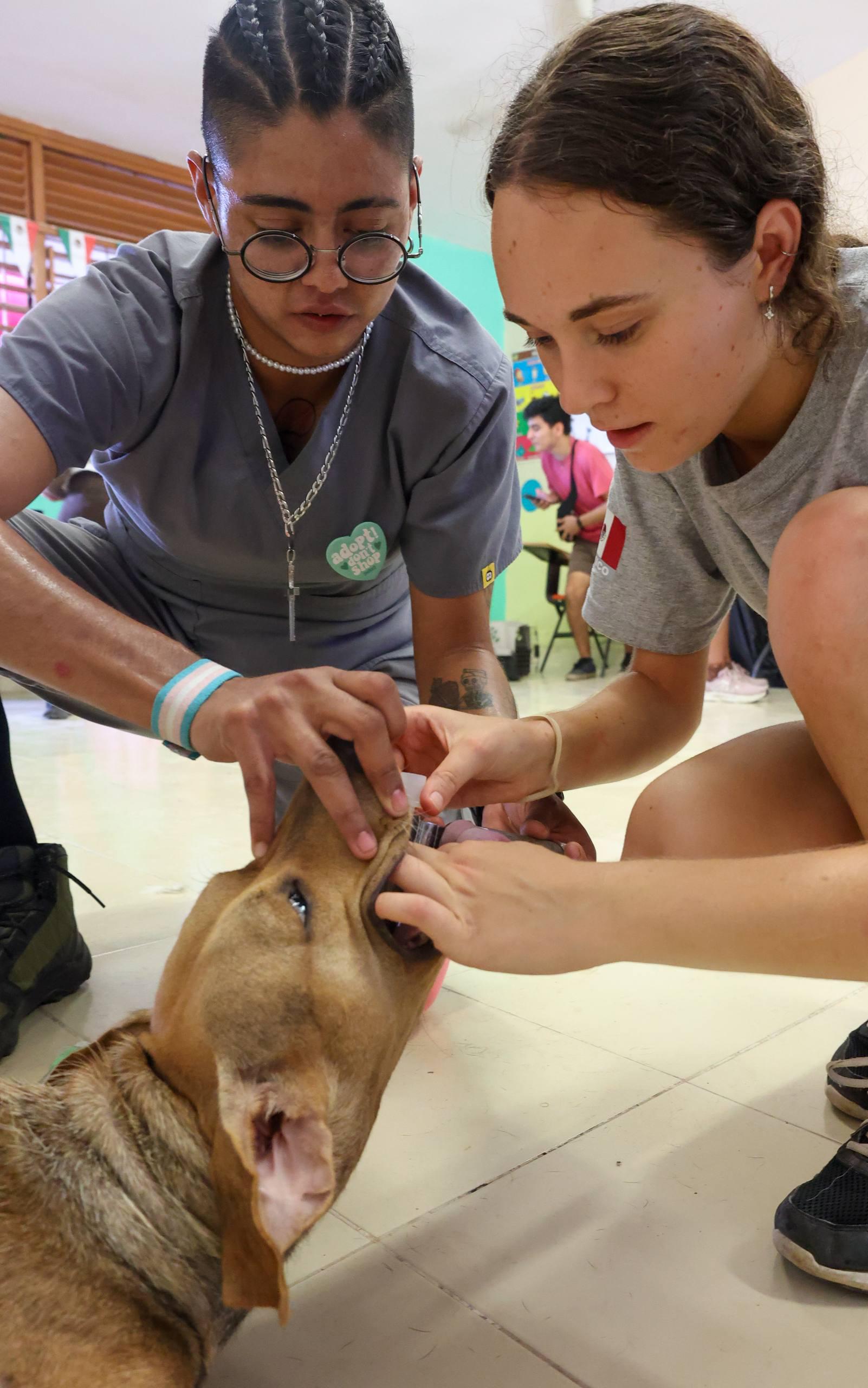 uploads/6/32/01 (2182).Jpeg